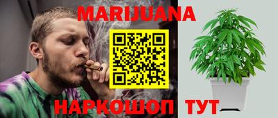 прущие крисы Новозыбков