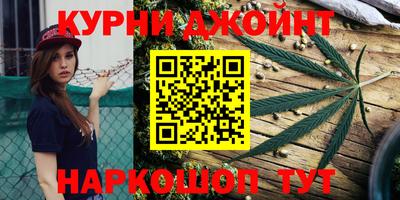 прущие крисы Новозыбков