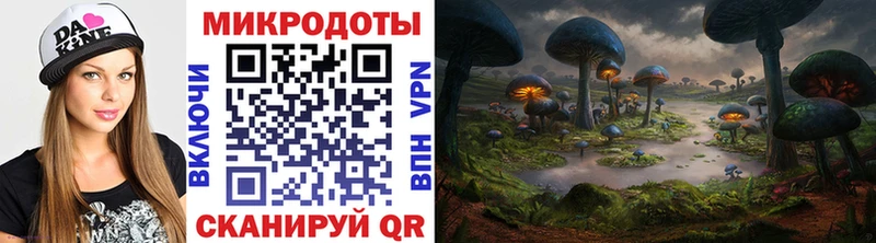Галлюциногенные грибы Psilocybine cubensis  Тихвин 
